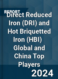 Direct Reduced Iron and Hot Briquetted Iron Global and China Top Players Market