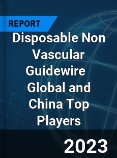 Disposable Non Vascular Guidewire Global and China Top Players Market