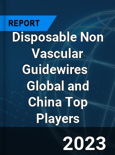 Disposable Non Vascular Guidewires Global and China Top Players Market