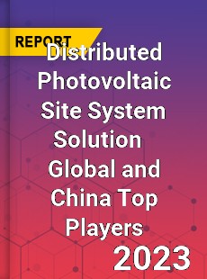 Distributed Photovoltaic Site System Solution Global and China Top Players Market