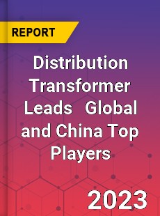 Distribution Transformer Leads Global and China Top Players Market