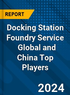 Docking Station Foundry Service Global and China Top Players Market