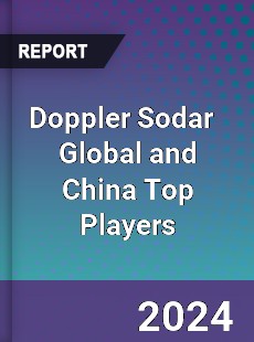 Doppler Sodar Global and China Top Players Market