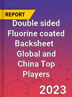 Double sided Fluorine coated Backsheet Global and China Top Players Market