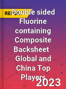 Double sided Fluorine containing Composite Backsheet Global and China Top Players Market