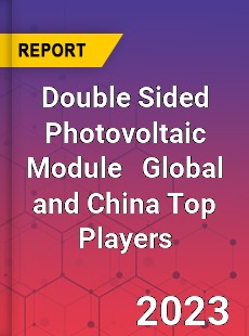 Double Sided Photovoltaic Module Global and China Top Players Market