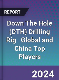 Down The Hole Drilling Rig Global and China Top Players Market