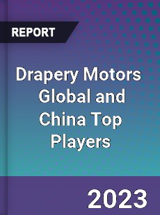 Drapery Motors Global and China Top Players Market