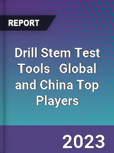 Drill Stem Test Tools Global and China Top Players Market