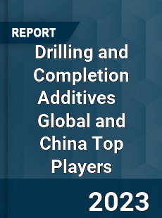 Drilling and Completion Additives Global and China Top Players Market