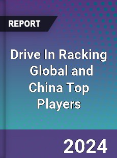 Drive In Racking Global and China Top Players Market