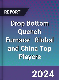 Drop Bottom Quench Furnace Global and China Top Players Market