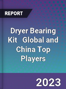 Dryer Bearing Kit Global and China Top Players Market