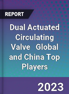 Dual Actuated Circulating Valve Global and China Top Players Market