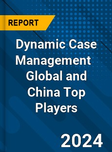 Dynamic Case Management Global and China Top Players Market