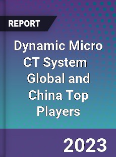 Dynamic Micro CT System Global and China Top Players Market