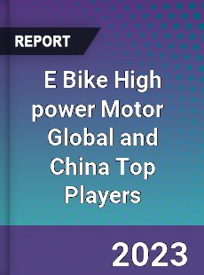 E Bike High power Motor Global and China Top Players Market