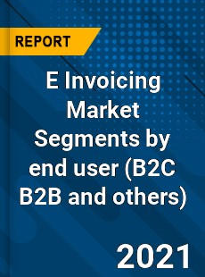 E Invoicing Market Segments by end user