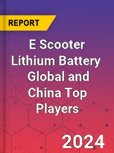 E Scooter Lithium Battery Global and China Top Players Market