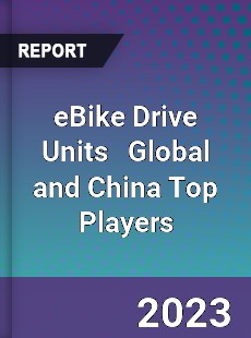 eBike Drive Units Global and China Top Players Market