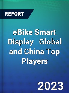 eBike Smart Display Global and China Top Players Market