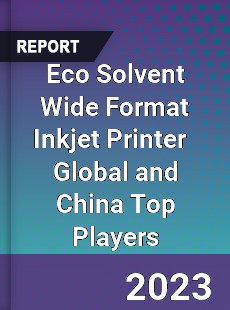 Eco Solvent Wide Format Inkjet Printer Global and China Top Players Market