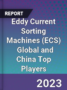 Eddy Current Sorting Machines Global and China Top Players Market