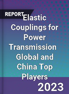 Elastic Couplings for Power Transmission Global and China Top Players Market