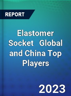 Elastomer Socket Global and China Top Players Market