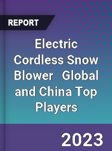 Electric Cordless Snow Blower Global and China Top Players Market