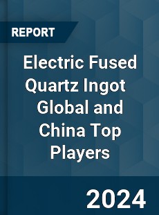 Electric Fused Quartz Ingot Global and China Top Players Market