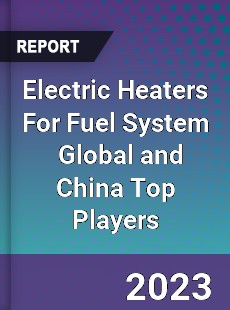 Electric Heaters For Fuel System Global and China Top Players Market