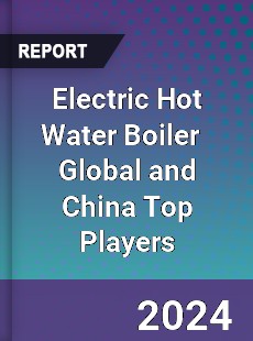 Electric Hot Water Boiler Global and China Top Players Market