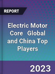 Electric Motor Core Global and China Top Players Market