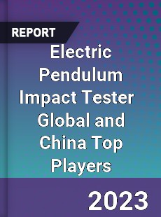 Electric Pendulum Impact Tester Global and China Top Players Market