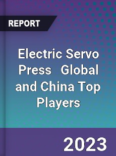 Electric Servo Press Global and China Top Players Market