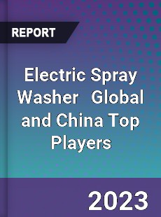Electric Spray Washer Global and China Top Players Market