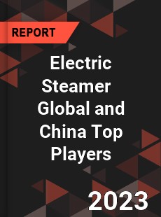 Electric Steamer Global and China Top Players Market