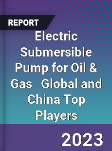 Electric Submersible Pump for Oil amp Gas Global and China Top Players Market