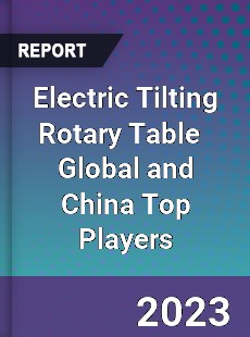 Electric Tilting Rotary Table Global and China Top Players Market