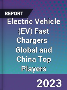 Electric Vehicle Fast Chargers Global and China Top Players Market