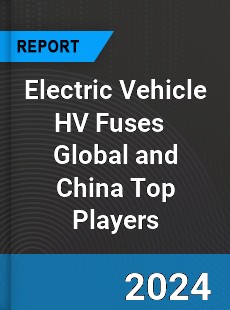 Electric Vehicle HV Fuses Global and China Top Players Market