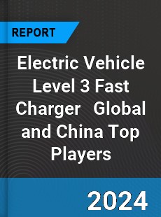 Electric Vehicle Level 3 Fast Charger Global and China Top Players Market