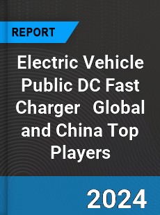 Electric Vehicle Public DC Fast Charger Global and China Top Players Market