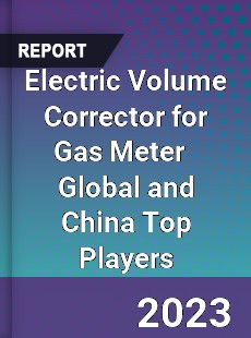 Electric Volume Corrector for Gas Meter Global and China Top Players Market