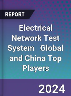 Electrical Network Test System Global and China Top Players Market