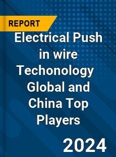 Electrical Push in wire Techonology Global and China Top Players Market