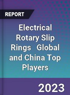 Electrical Rotary Slip Rings Global and China Top Players Market