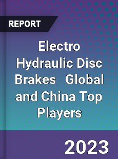 Electro Hydraulic Disc Brakes Global and China Top Players Market