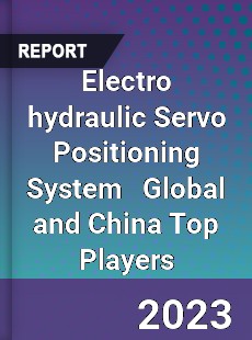 Electro hydraulic Servo Positioning System Global and China Top Players Market